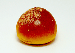 こしあんぱん